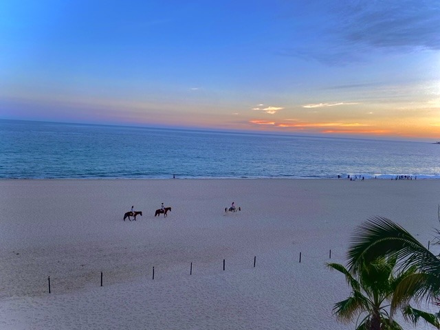 Beach at sunset with palm trees and people near the shoreline